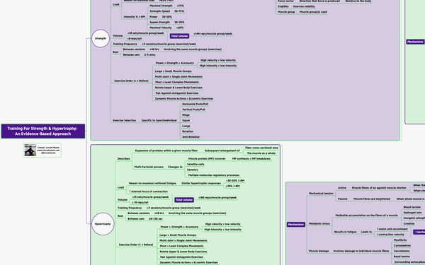 Training For Strength & Hypertrophy: An Evidence-Based Approach